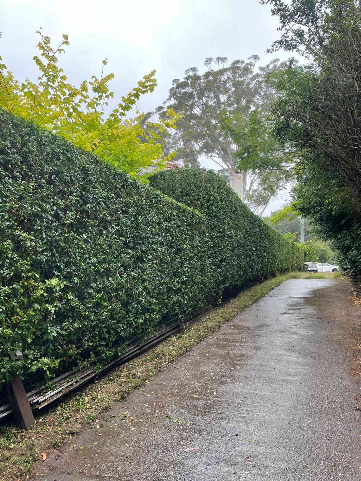 Big Hedge